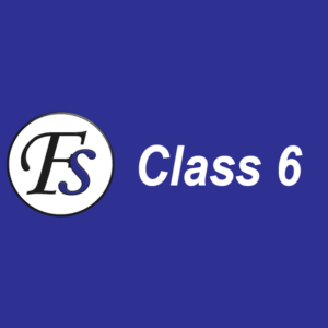 Class 6 – Complete Courses and Exam Preparation
